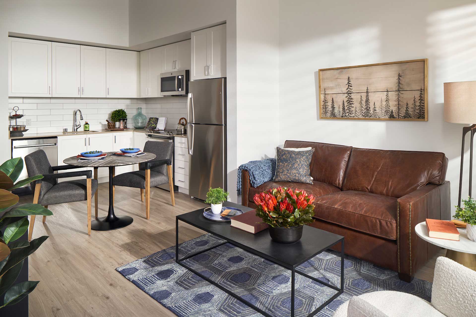 A modern, sunlit apartment at MorningStar Senior Living Kirkland features a brown leather sofa, a blue-patterned rug, a coffee table with a potted plant, a cozy dining table, and a white kitchen with stainless steel appliances in the background.