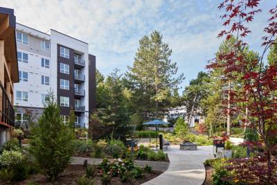 A landscaped courtyard with walking paths, garden beds, trees, and benches is surrounded by modern apartment buildings at MorningStar Senior Living Kirkland, offering tranquil retirement living under a partly cloudy sky.